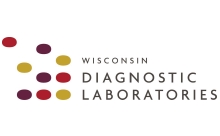 Wisconsin Diagnostic Laboratory logo